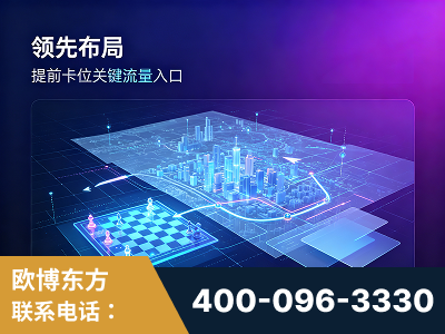 邳州-领先布局：于2024年初开启GEO业务的公司